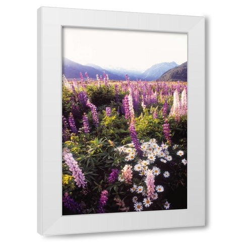 Russell Lupin II White Modern Wood Framed Art Print by Stefko, Bob