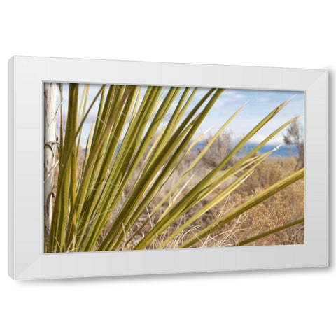 Century Plant II White Modern Wood Framed Art Print by Styber, Dana