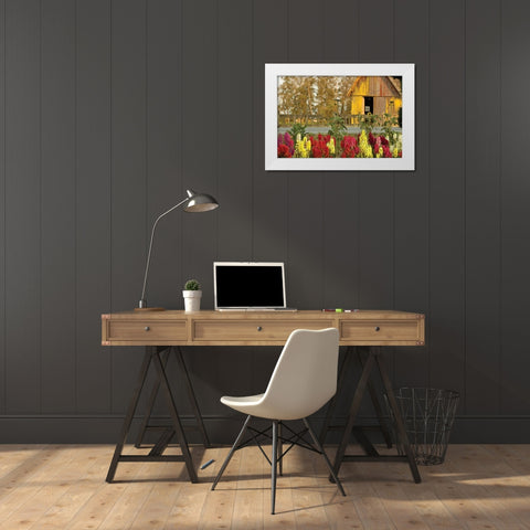 Snapdragons Barn II White Modern Wood Framed Art Print by Styber, Dana