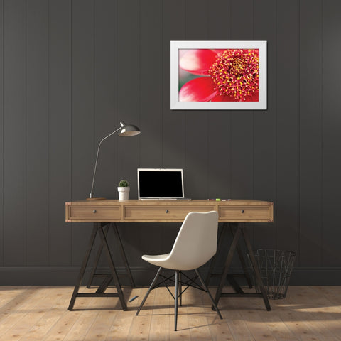 Starburst I White Modern Wood Framed Art Print by Styber, Dana