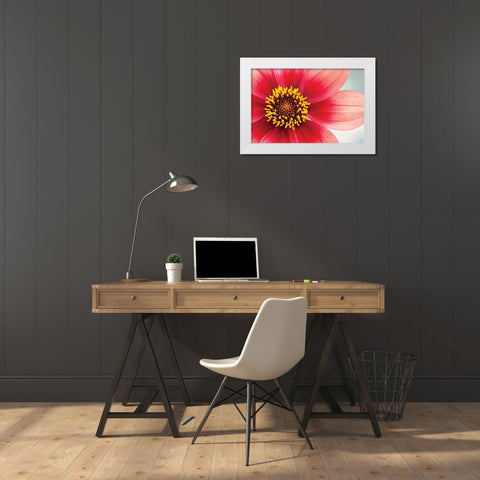 Starburst IV White Modern Wood Framed Art Print by Styber, Dana