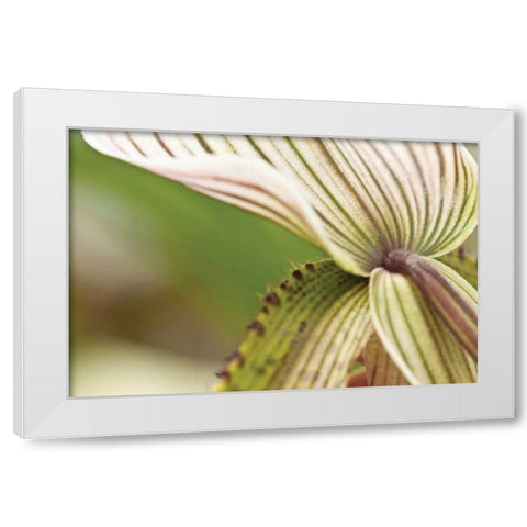 Green Mist White Modern Wood Framed Art Print by Styber, Dana