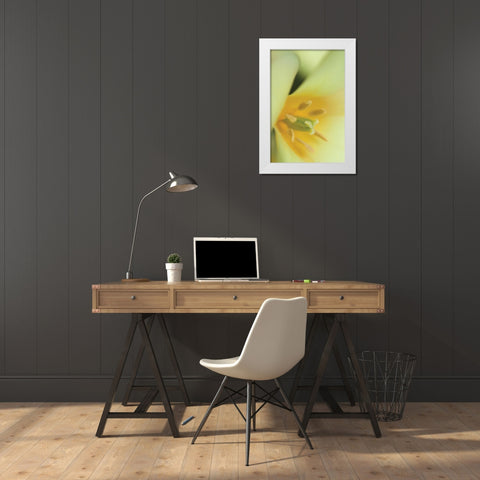 Yellow Burst II White Modern Wood Framed Art Print by Styber, Dana