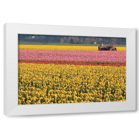 Tractor and Tulips I White Modern Wood Framed Art Print by Styber, Dana