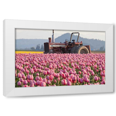 Tractor and Tulips II White Modern Wood Framed Art Print by Styber, Dana