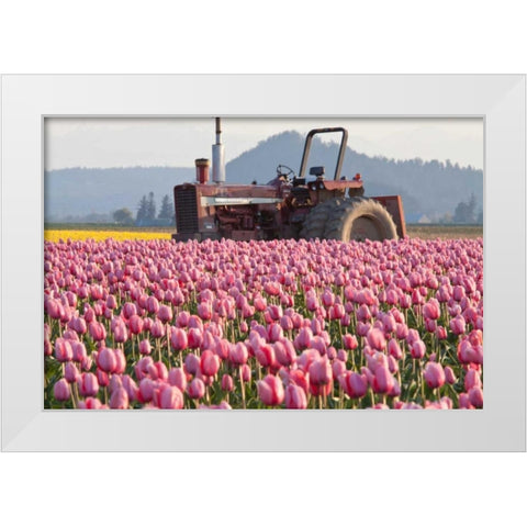 Tractor and Tulips II White Modern Wood Framed Art Print by Styber, Dana
