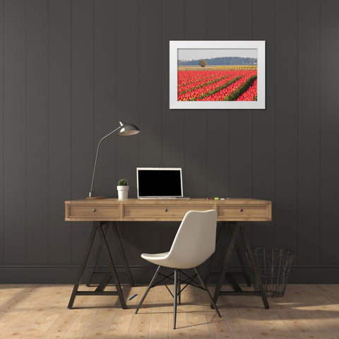 Lonesome Tree White Modern Wood Framed Art Print by Styber, Dana
