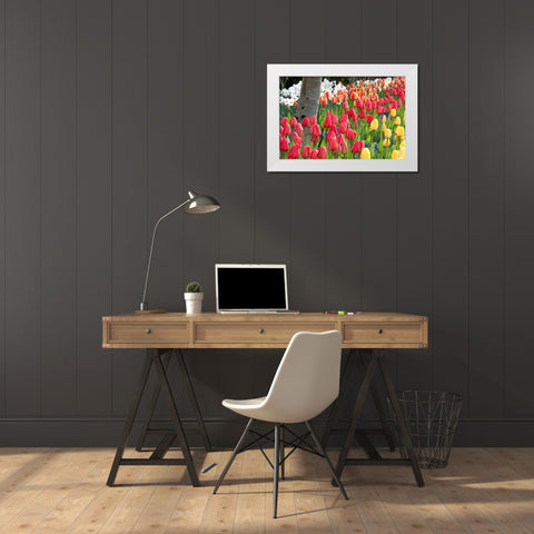 Tulip Bed I White Modern Wood Framed Art Print by Styber, Dana