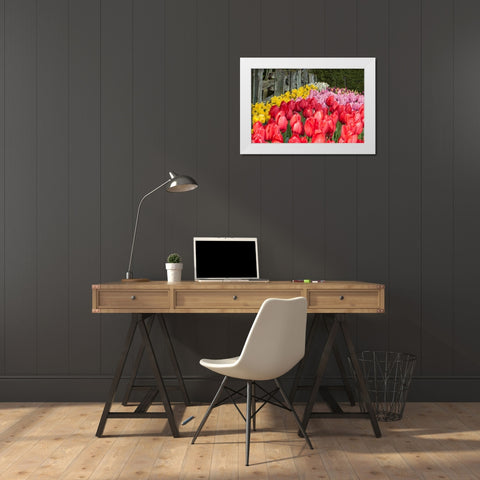 Tulip Bed II White Modern Wood Framed Art Print by Styber, Dana