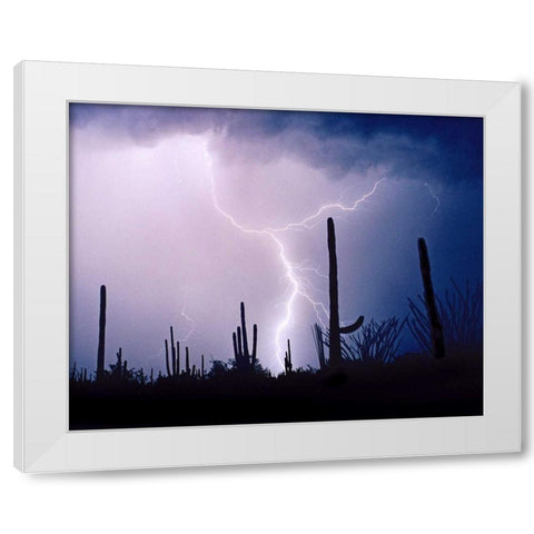 Electric Desert II White Modern Wood Framed Art Print by Taylor, Douglas