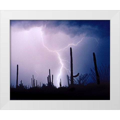 Electric Desert II White Modern Wood Framed Art Print by Taylor, Douglas