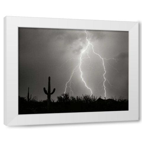 Electric Desert I - BW White Modern Wood Framed Art Print by Taylor, Douglas