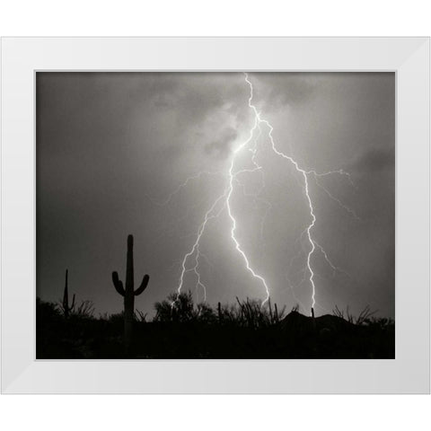 Electric Desert I - BW White Modern Wood Framed Art Print by Taylor, Douglas