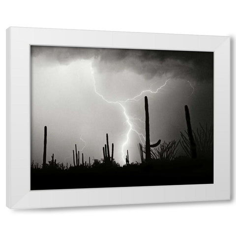 Electric Desert II - BW White Modern Wood Framed Art Print by Taylor, Douglas