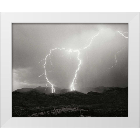 Striking Symmetry I - BW White Modern Wood Framed Art Print by Taylor, Douglas