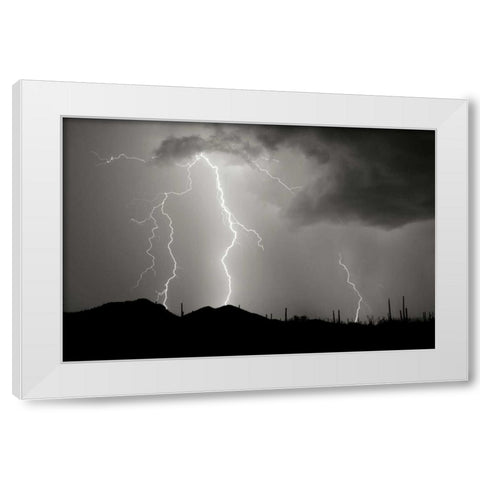 Striking Symmetry II - BW White Modern Wood Framed Art Print by Taylor, Douglas