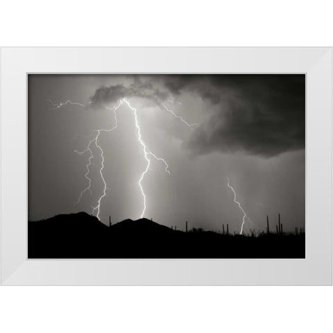 Striking Symmetry II - BW White Modern Wood Framed Art Print by Taylor, Douglas