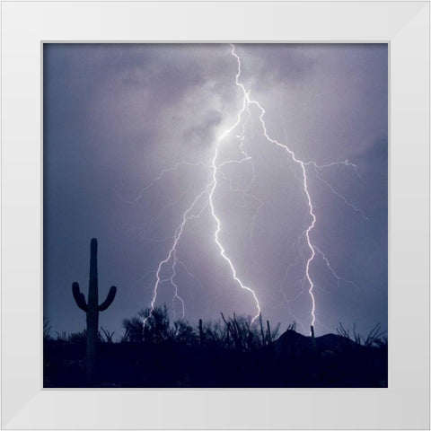 Electric Desert III White Modern Wood Framed Art Print by Taylor, Douglas