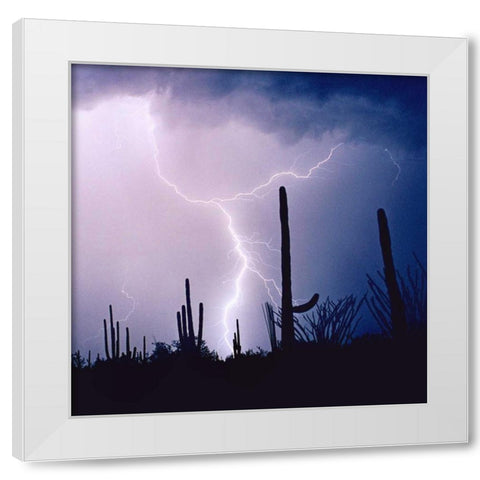 Electric Desert IV White Modern Wood Framed Art Print by Taylor, Douglas