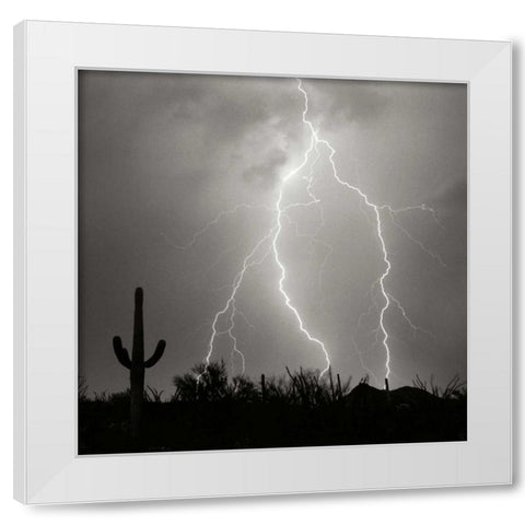 Electric Desert III - BW White Modern Wood Framed Art Print by Taylor, Douglas