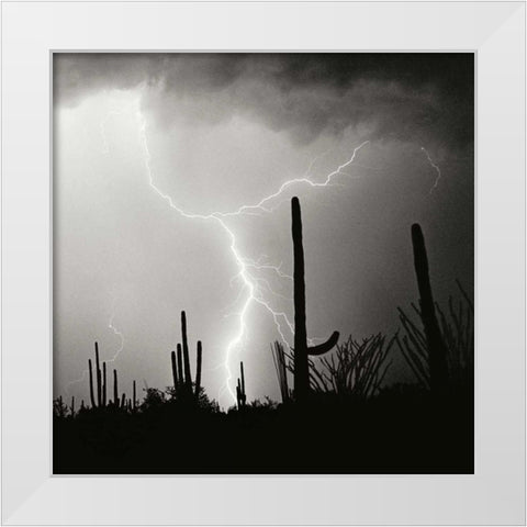 Electric Desert IV - BW White Modern Wood Framed Art Print by Taylor, Douglas