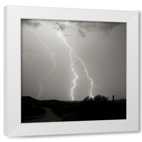 Summer Lightning II - BW White Modern Wood Framed Art Print by Taylor, Douglas
