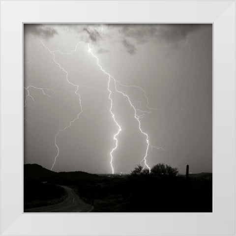 Summer Lightning II - BW White Modern Wood Framed Art Print by Taylor, Douglas