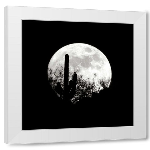 Moonrise in May I White Modern Wood Framed Art Print by Taylor, Douglas