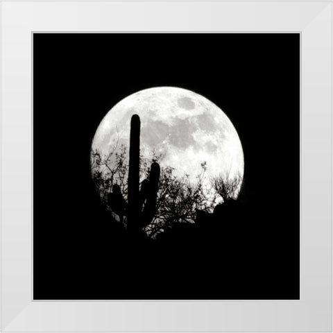 Moonrise in May I White Modern Wood Framed Art Print by Taylor, Douglas
