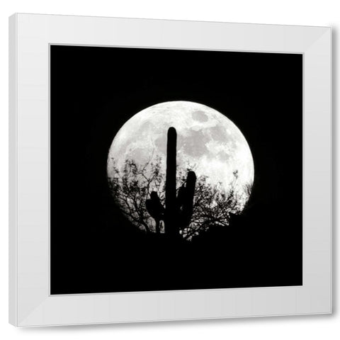 Moonrise in May II White Modern Wood Framed Art Print by Taylor, Douglas