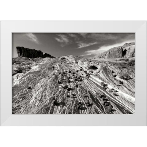 Sands of Time II BW White Modern Wood Framed Art Print by Taylor, Douglas