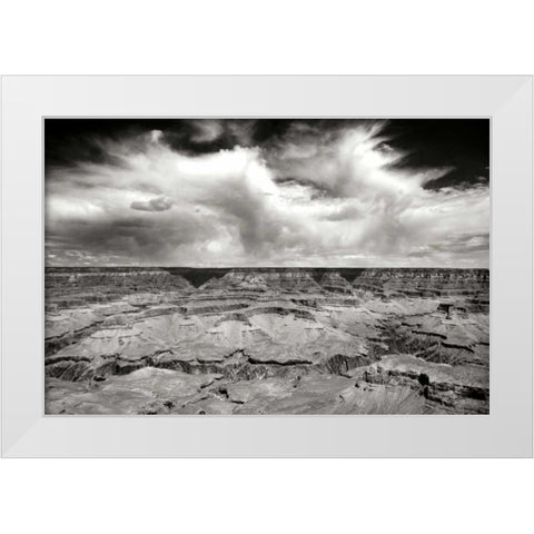 Grand Canyon Winds BW White Modern Wood Framed Art Print by Taylor, Douglas