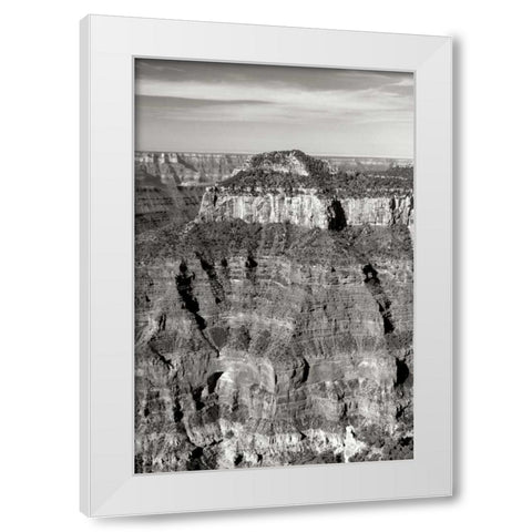 Oza Butte Portrait BW White Modern Wood Framed Art Print by Taylor, Douglas