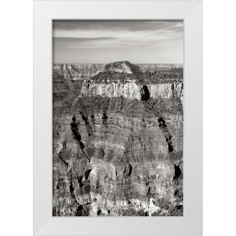 Oza Butte Portrait BW White Modern Wood Framed Art Print by Taylor, Douglas