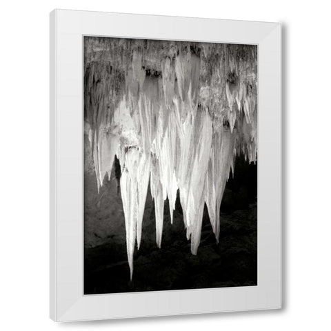 Carlsbad Cavern I BW White Modern Wood Framed Art Print by Taylor, Douglas