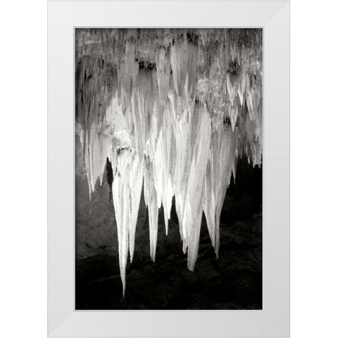 Carlsbad Cavern I BW White Modern Wood Framed Art Print by Taylor, Douglas