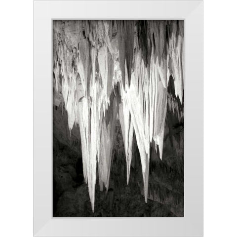 Carlsbad Cavern II BW White Modern Wood Framed Art Print by Taylor, Douglas
