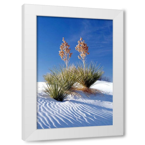 Yuccas and White Sand I White Modern Wood Framed Art Print by Taylor, Douglas
