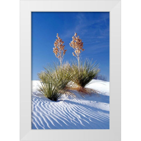 Yuccas and White Sand I White Modern Wood Framed Art Print by Taylor, Douglas