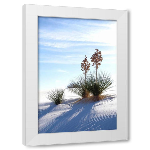 Yuccas and White Sand II White Modern Wood Framed Art Print by Taylor, Douglas