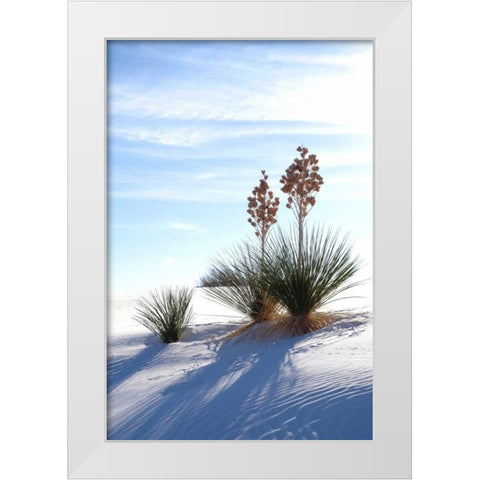 Yuccas and White Sand II White Modern Wood Framed Art Print by Taylor, Douglas