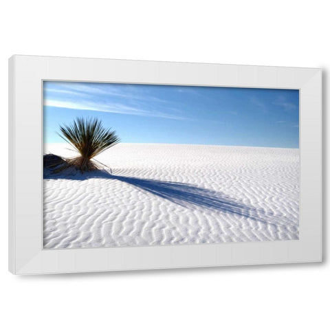 Sand Shadows I White Modern Wood Framed Art Print by Taylor, Douglas