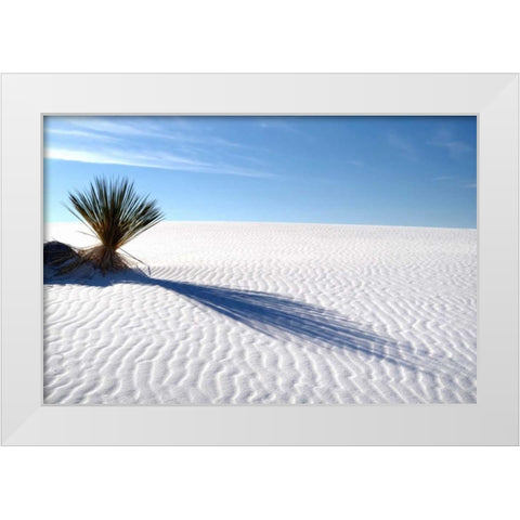 Sand Shadows I White Modern Wood Framed Art Print by Taylor, Douglas
