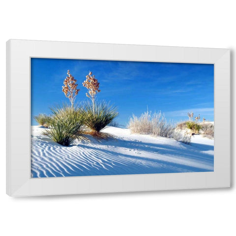 Sand Shadows II White Modern Wood Framed Art Print by Taylor, Douglas