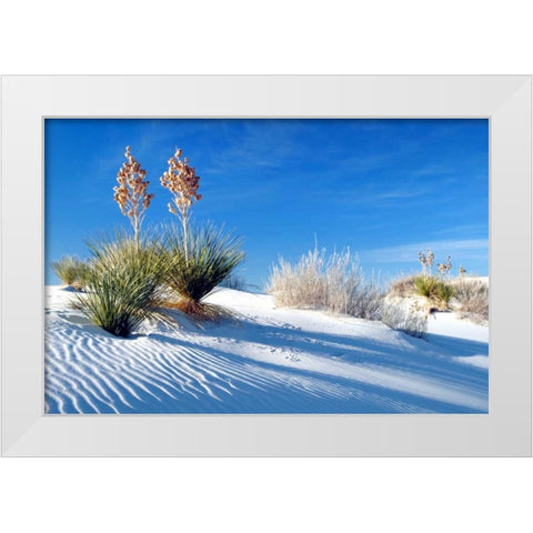 Sand Shadows II White Modern Wood Framed Art Print by Taylor, Douglas