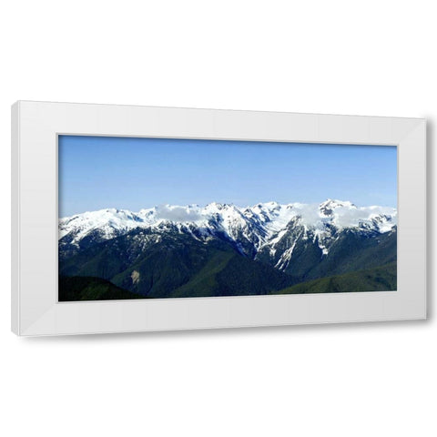 Hurricane Ridge Vista White Modern Wood Framed Art Print by Taylor, Douglas