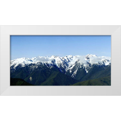 Hurricane Ridge Vista White Modern Wood Framed Art Print by Taylor, Douglas