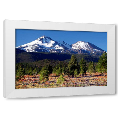 Morning in Shasta White Modern Wood Framed Art Print by Taylor, Douglas