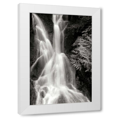 Falling Water I BW White Modern Wood Framed Art Print by Taylor, Douglas