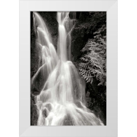 Falling Water I BW White Modern Wood Framed Art Print by Taylor, Douglas